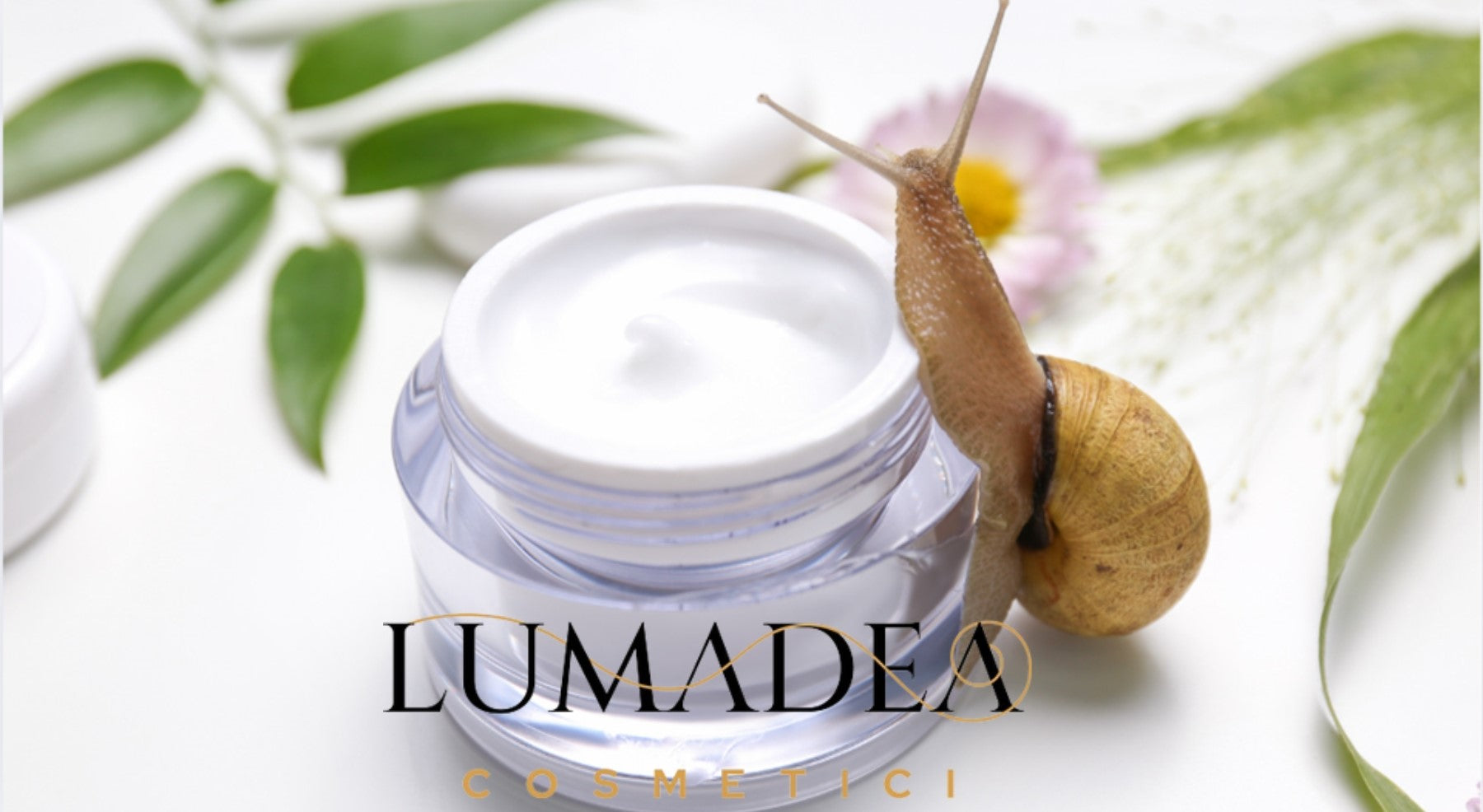 Bava di lumaca per acne, macchie e cicatrici: funziona davvero?